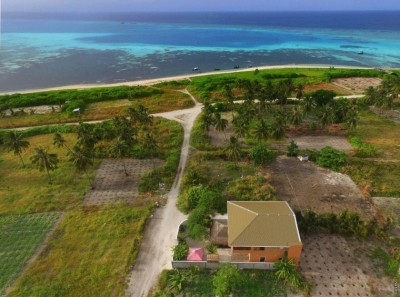މާމިގިލިން ވެސް ދަނޑުވެރިކަމަށް ބިން ދޫކުރަނީ