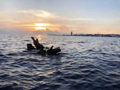 ބޮޑު ގަސްގަނޑެއް އޮޔާދާތީ ސަމާލުވާން ގޮވާލައިފި