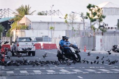ކާފިއު އުވާލިޔަސް ޑޮކްޓަރުން އިލްތިމާސް ކުރަނީ ގޭގައި ތިބުމަށް