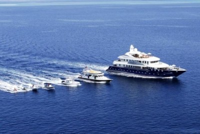 138 ރިސޯޓު، ސަފާރީން މީހުން ފޭބުމުގެ ހުއްދަ ދީފި