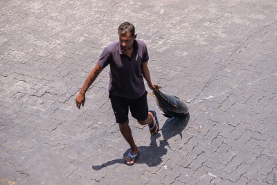 10 ކިލޯއާއި 15 ކިލޯއާ ދެމެދުގެ ކަންނެލި 20 ރުފިޔާއަށް މިފްކޯއަށް ގަންނަން ފަށައިފި