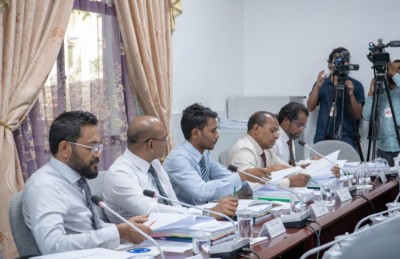 ބިމުގެ ދަތިކަން ހުރި ރަށްރަށަށް ދަނޑުވެރިކަމަށް ރަށެއް ދޭން ކޮމިޓީއިން ހުށަހަޅައިފި
