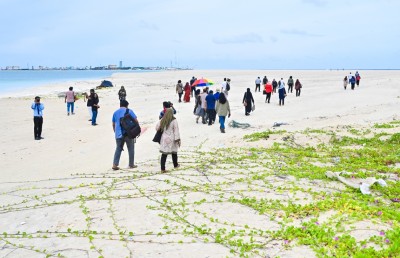 ގުޅިފަޅުގެ ގޯތިތައް ހަވާލުކުރަން ފަށައިފި، އަމާޒަކީ ދެ އަހަރު ތެރޭ އާބާދުކުރުން