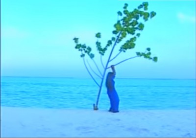 ހިތްތައް ފަތަހަކުރި ކަލާޔާ ނުލާ!