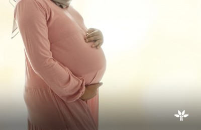 މާބަނޑު މީހުންނަށް މައުލޫމާތު ދޭ ޕްރޮގްރާމްގައި ބައިވެރިވާން ޓްރީ ޓޮޕުން ހުޅުވާލައިފި