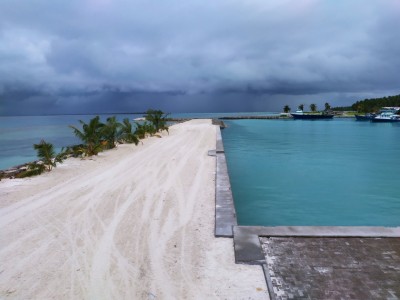ރުކަކުން ވެއްޓި މަޑިފުށީގައި މީހަކު މަރުވެއްޖެ