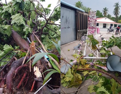 ފަތިހު އައި ކޮޅިގަނޑެއްގައި ވާދޫއަށް ބޮޑެތި ގެއްލުންތަކެއް