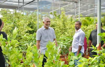 ކޮކާ ބަގީޗާއަކާއެކު، ރާއްޖޭގެ އެންމެ ބޮޑު ނާސަރީ ހުޅުމާލޭގައި ހުޅުވައިފި