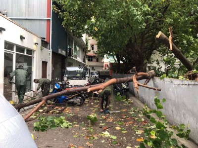 ގަދަ ވަޔާއެކު މާލޭގައި ގަސްތަކެއް ވެއްޓިއްޖެ