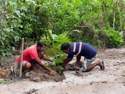 ކެނދިކުޅުދޫ ޒުވާނުން މުޅި ރަށް ބަނބުކެޔޮ ނިރުން ފުރާލަނީ