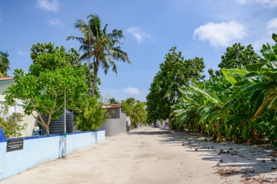 ގައިދުރުކަން ބެހެއްޓުމަށް އަންގައި، ރަށްތަކަށް ލުއިތަކެއް