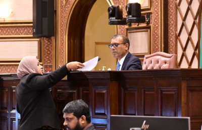 ނަޝީދު މަގާމުން ދުރުކުރުމާ ގުޅޭ ގަރާރު ބަލައިގަންނަން އަދި ނުނިންމާ!