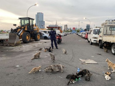 އިންޑަސްޓްރިއަލް ވިލެޖުގައި ހުރި ވެހިކަލްތައް ނަގަން އަންގައިފި