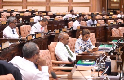 ފެނަކައިގެ ގަރާރު ބަލައިގަނެ، އިންތިހާބީ ނުފޫޒުގެ ގަރާރު ބޭރުކޮށްފި