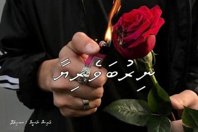 ނިރުބަވެރިޔާ - ފަހު ބައި