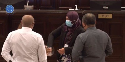 ކުއްލި ދެ މައްސަލައާއެކު މަޖިލީހުގައި ފުރަތަމަ ފަހަރަށް ގުރުނަގައިފި