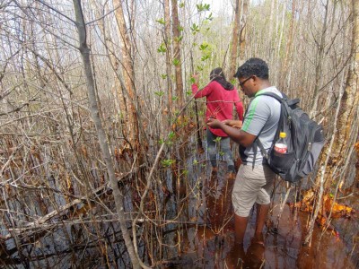 ކަނޑޫފާތަކުން ފެނުނީ ފީ މޫތަކާއި ފަނިފަކްސާ!