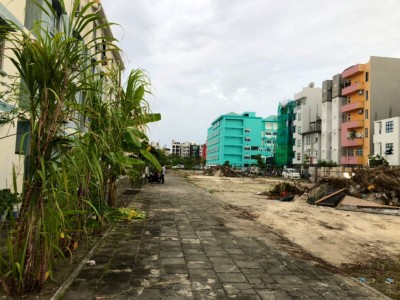 ހުޅުމާލޭގައި އާންމުން ހެއްދި ގަސްތައް އުފުރާލައިފި، އަލުން ބިން ދެނީ