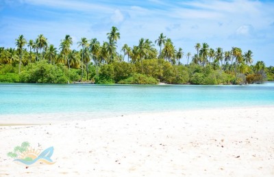 ޓޫރިޒަމް ޒޯނެއް ތަރައްގީ ކުރަން ފިޔޯރި ކައިރީގައި އޮންނަ ފަޅުރަށަކުން ބޮޑު ބިމެއް ކުއްޔަށް ދެނީ