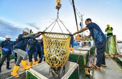 މަސް ކިލޯއެއް 25ރ: ކިހާ ދުވަހަކަށް ހިފަހައްޓާލެވޭނެ؟