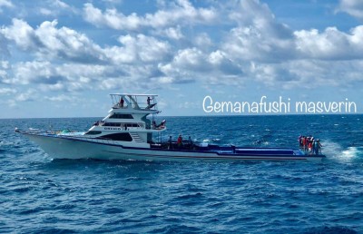 މަހަށް ނުކުމެ އުޅުނު ގެމަނަފުށީ މަސްދޯންޏެއް ދެބުރިވެއްޖެ