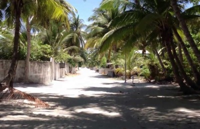 އަލިފުށީގައި ރޯގާއެއް ފެތުރި ސްކޫލަށް ނުދާ ދަރިވަރުންގެ އަދަދު 100 އިން މަތީގައި