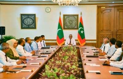 ރައީސް ޗެއާކުރައްވާ ގޮތަށް ޓޫރިޒަމް ކައުންސިލް އުފައްދައިފި