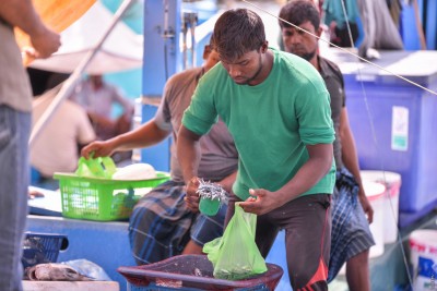 ބިދޭސީން ވިޔަފާރި ކުރާ މައްސަލަ ހައްލުކުރަން އާ ގަވައިދެއް ހަދަނީ