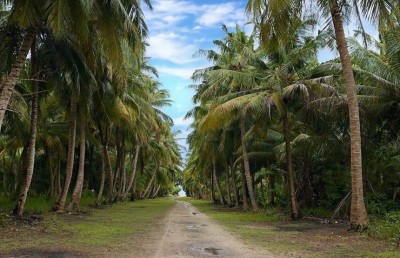 ރަށްރަށުގައި އެކްޓިވް ކޭސް ގިނައީ ކަރަންޓީނަށް ފަރުވާކުޑަކުރާތީ: އެޗްއީއޯސީ