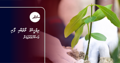 ދިވެހީންގެ ލޯތްބާއި ފޯރި ގަސްހެެއްދުމަށް
