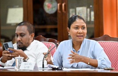 ހިސާން، އިސްލާހުތައް ފޮނުވީ ބަޖެޓްގެ މަސައްކަތް ނިމުނު ފަހުން