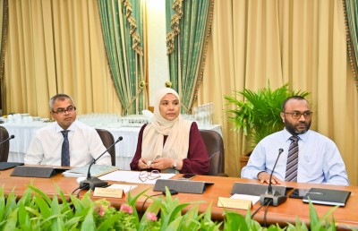 ނުކުޅެދުންތެރިކަން ހުންނަ މީހުންނަށް ވަޒީފާ ދޭނެ އުސޫލެއް ހަދަނީ