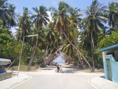 އިންޑިއާ ފެރީގެ މައުލޫމާތު ސަރުކާރުން އަންގާފައެއް ނުވޭ: ކުޅުދުއްފުށީ ކައުންސިލް