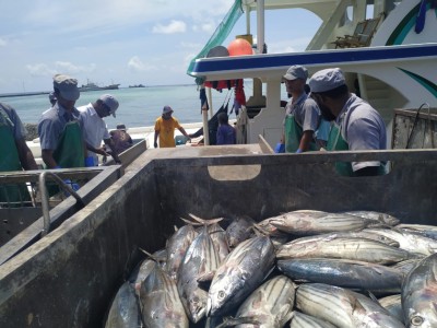 މަސްވެރިން ކިރުވާ މަހަށް މިފްކޯއަށް މިހާރު ވަގުތުން ފައިސާ ދެވޭނެ: މިނިސްޓަރު އަމީރު