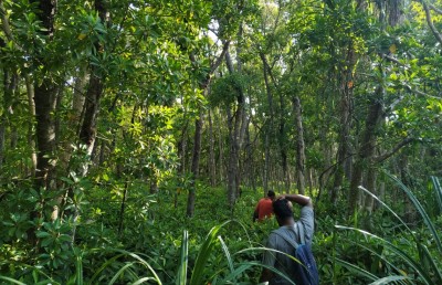 އާދަޔާޚިލާފު ރީތި ކޭލަކުނު ގައި އިކޯ ޓޫރިޒަމް ފައްކާކުރަނީ