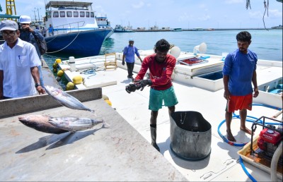 މަސްވެރިކަން ތިޔާގިވިއިރު، މަސްވެރިން އާންމު ޝަކުވާގައި، މިފްކޯއަށް ތައްޔާރެއް ނުވެވުނު!