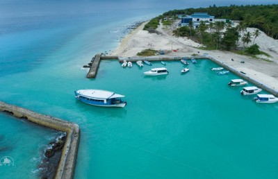 އެމްޓީސީސީ ފެރީ ނިޒާމުގެ މުވައްޒަފުންގެ 50 ޕަސެންޓަކީ އަންހެނުން