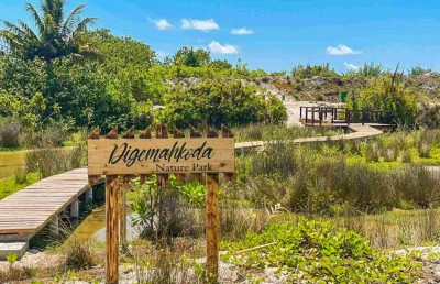 ބީއެމްއެލް އިން ހޯނޑެއްދޫގައި ނޭޗާ ޕާކެއް