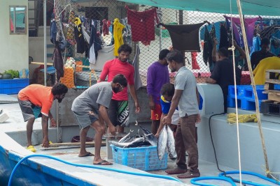 ލޮނުފެނުން މަސް ފިނި ކުރާ ނިޒާމުން ޑިއުޓީ މާފުކޮށްދެނީ