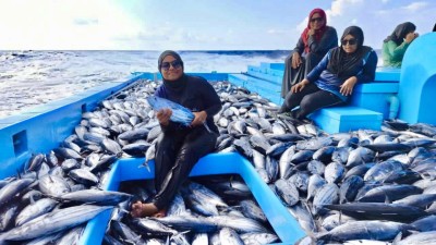 މަސްވެރިންގެ ދުވަސް މިފަހަރު ފެންވަރުގައި ފާހަގަކޮށްލީ ނައިފަރުން