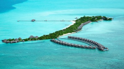 ތާޖު އެގްޒޯޓިކާގައި ރޯވި އަލިފާން ނިއްވާލައިފި