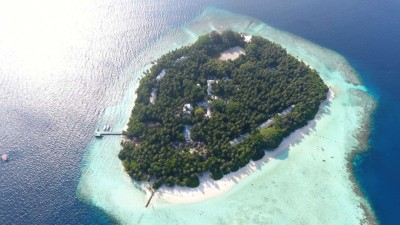 ބިޔާދުއިން ޕޮޒިޓިވްވި މީހުންގެ އަދަދު 53 އަކަށް