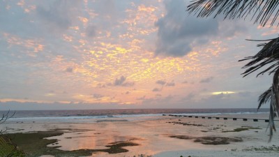 ފައުޒާން ދަމައިގަތް ނެރު ބަންދު ކުރަން ގޮވާލައި ޕެޓިޝަނެއް
