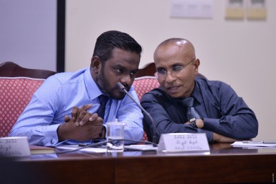 އިލެކްޝަންސް ކޮމިޝަނުގެ ނައިބު ރައީސް ކަމަށް ހަބީބު