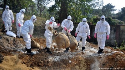 އިންޑިއާގެ 12 ސްޓޭޓަކުން ދޫނިރޯގާ ފެނުމާ އެކު މުޅި ގައުމަށް ދޫނިރޯގާ ފެތުރިދާނެކަމުގެ ބިރު ހީވެއްޖެ