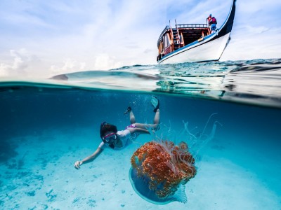 އެކަނި ސްނޯކްލިންއަށް ގޮސް އުޅުނު ފަތުރުވެރިޔަކު ގެއްލިގެން ހޯދަނީ