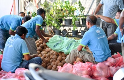 ޗަމްޕާ ބްރަދާސް އިން 50،000 ކާށި، 50 ޓަނު ކަރާ އަދި 10 ޓަނު ފިޔާ ހަދިޔާ ކުރަނީ