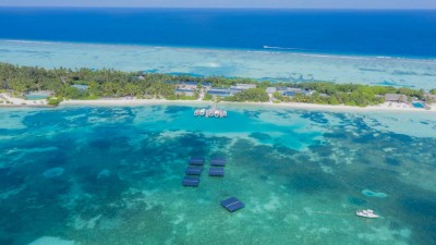 ލަކްސް ސައުތުން ޕޮޒިޓިވްވި މީހުންގެ އަދަދު 112 އަށް