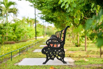 ޕާކުތަކާއި ދުވާ ޓްރެކްތައް ބަންދުކޮށްފި