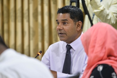 ކޮމަންވެލްތުގެ ޕަބްލިކް އެކައުންޓް ކޮމެޓީގެ ވައިސް ޗެއާ އަކަށް ނާޝިޒު